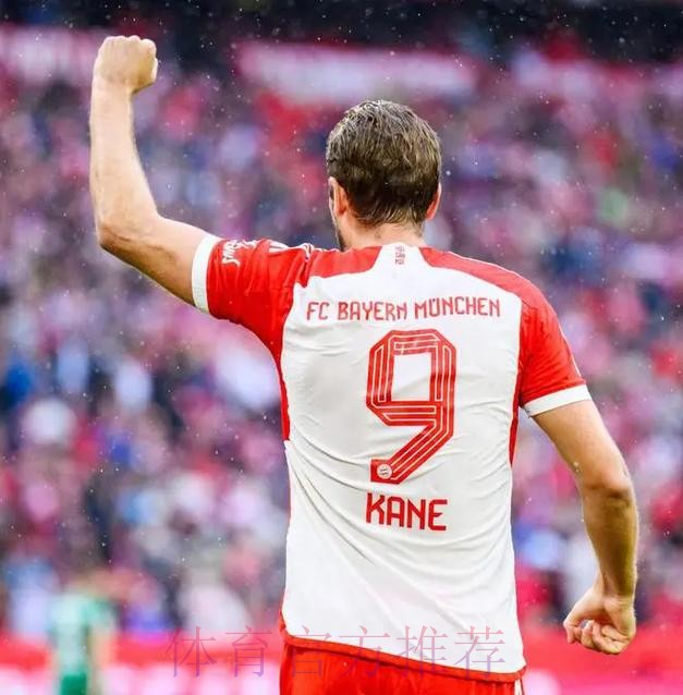 最新世界杯巴西凯恩数据统计全解析