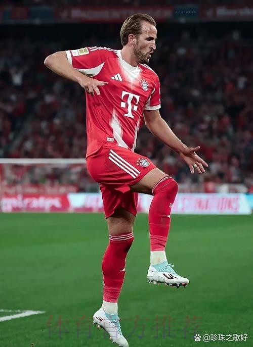 世界杯比利时凯恩焦点对决全面分析 世界杯比利时凯恩焦点对决全面分析